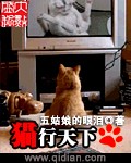 猫行天下